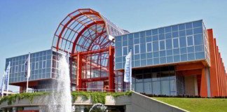 Bélgica eligió superficie para la final de la Davis Belgica eligió la sede de la final