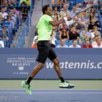 Monfils y Djokovic a semifinales del Us Open Gael Monfils superó a s su compatriota Lucas Pouille