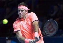 La Torre de Tandil se asoma en Basilea Del Potro superó al holandés Robin Haase