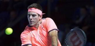 La Torre de Tandil se asoma en Basilea Del Potro superó al holandés Robin Haase