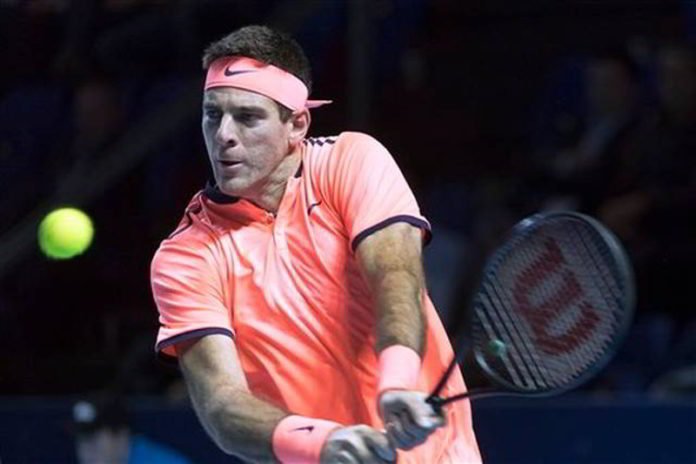Del Potro superó al holandés Robin Haase