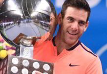 Del Potro campeón en Estocolmo Delpo se quedó con la corona de Estocolmo