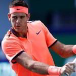 Del Potro imparable, pasó por Karlovic y está en semis Juan Martín del Potro derrotó al croata Ivo Karlovic en lo que fue sin dudas un avant premiere de lo que será sin dudas la final de la Copa Davis