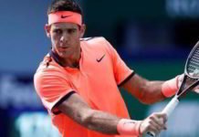 Del Potro imparable, pasó por Karlovic y está en semis Juan Martín del Potro derrotó al croata Ivo Karlovic en lo que fue sin dudas un avant premiere de lo que será sin dudas la final de la Copa Davis