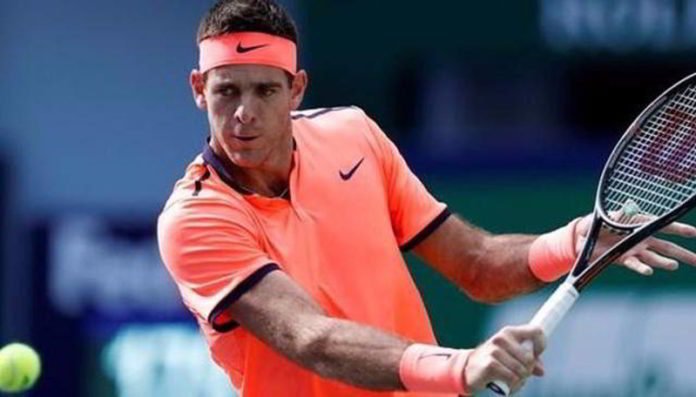 Juan Martín del Potro derrotó al croata Ivo Karlovic en lo que fue sin dudas un avant premiere de lo que será sin dudas la final de la Copa Davis Juan Martín del Potro derrotó al croata Ivo Karlovic en lo que fue sin dudas un avant premiere de lo que será sin dudas la final de la Copa Davis