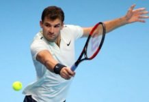 Dimitrov y Goffin se perfilan en las Nitto ATP Finals Grigor Dimitrov
