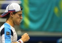 Argentina con Schwartzman recibe a Chile y Brasil a Colombia por un lugar en los Play Off Diego Schwartzman