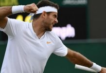 Del Potro en dramático partido superó a Simon y se cita con Nadal El argentino terminó su match suspendido por falta de luz y selló su boleto a 4º de final para cruzarse con Nadal.