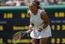 Ya están las cuatro semifinalistas en Wimbledon: Halep, Serena, Svitolina y Stricova Serena Wiliams