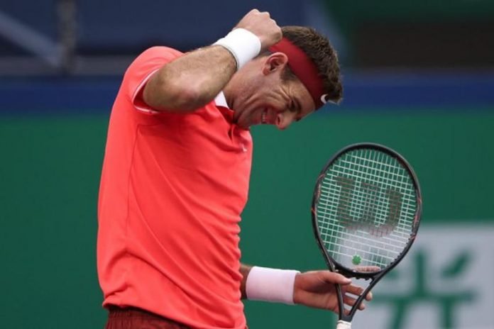 Juan Martín del Potro