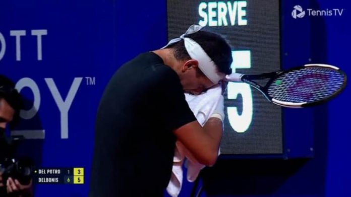 Juan Martin del Potro