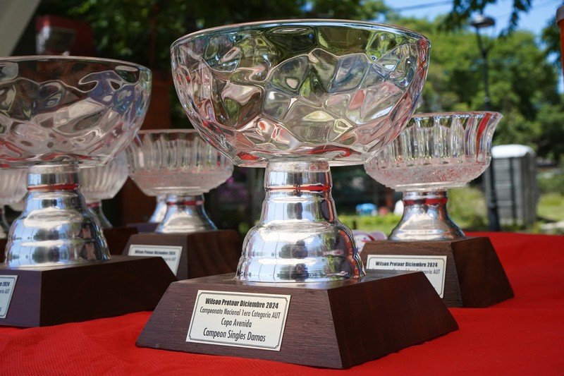 Campeonato Nacional de Primera Categoría
